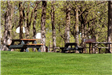 Lakeside Park Picnic Tables 2